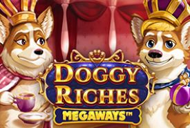 Dogg rich Riches Mega recensione